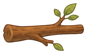 a tree branch with fresh green leaves